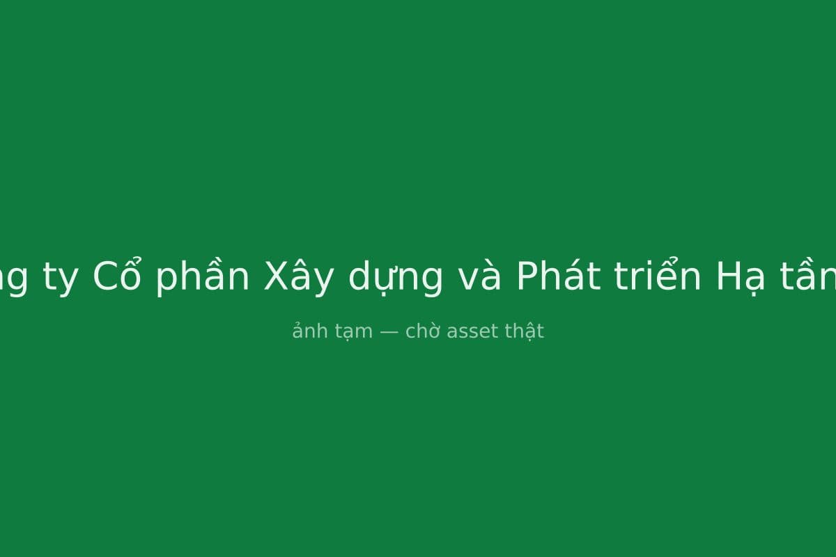 Công ty Cổ phần Xây dựng và Phát triển Hạ tầng V